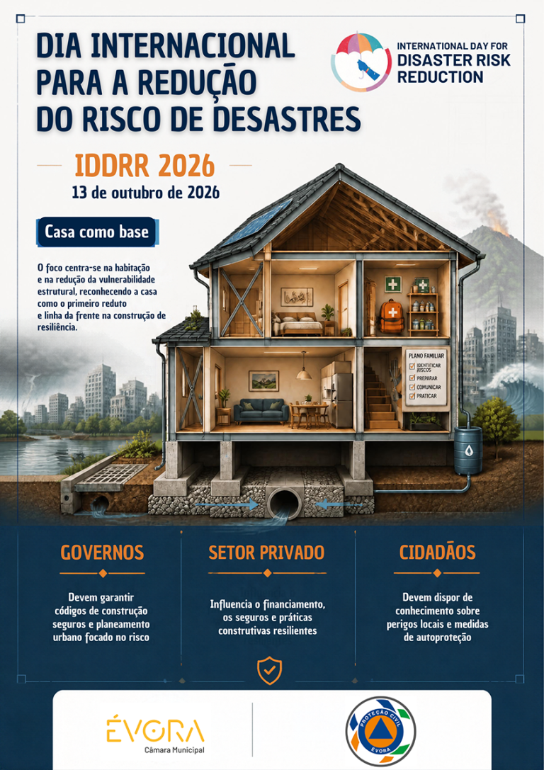 Cartaz IDDRR 2026