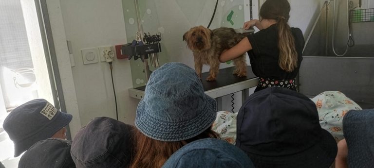 Clinica VET 3